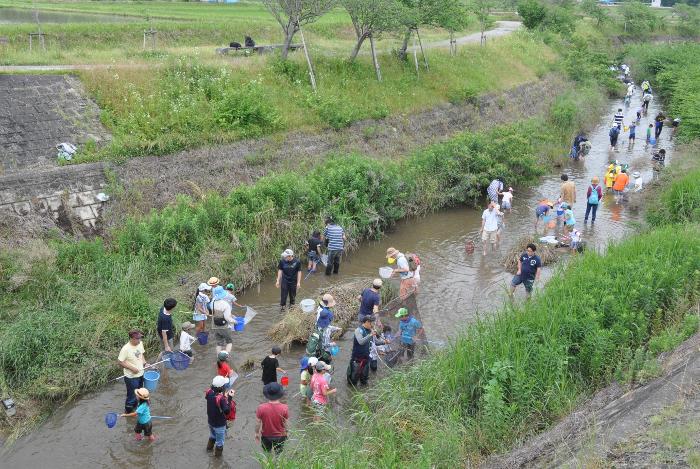 生き物採集の様子