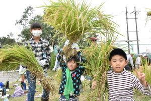 刈り終えた稲を持つ児童ら