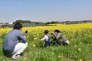 菜の花を見に来た家族連れ