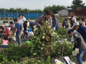 大きく成長したつるごと持ち上げるお父さん