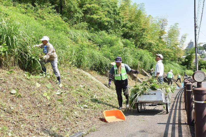 歩道の雑草を刈る会員の皆さん