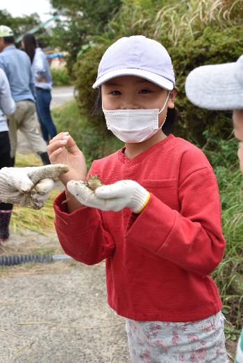 田んぼで捕まえた少し大きめのカエルを手のひらにのせて見せてくれている