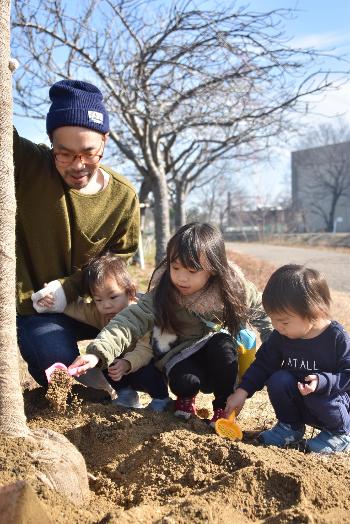 子どもたちが桜の苗に土をかぶせている