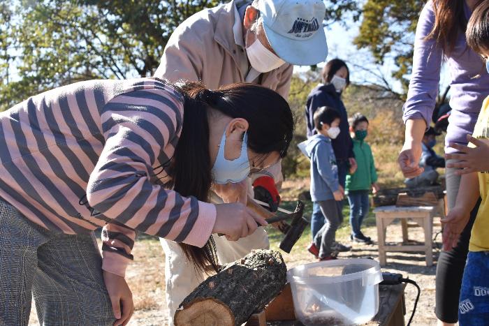 木にきのこの菌を打ち付ける児童