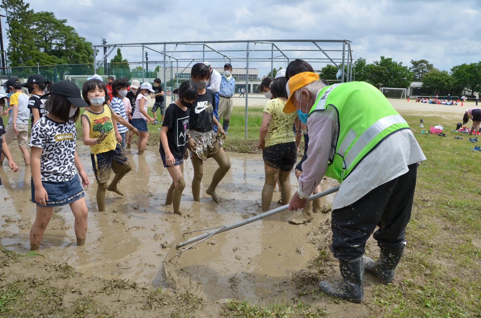 田んぼの土を踏んで、表面を平らにする様子