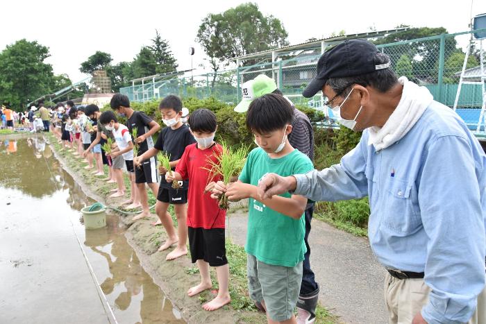 東楽会の方に田植えについて教えてもらう児童