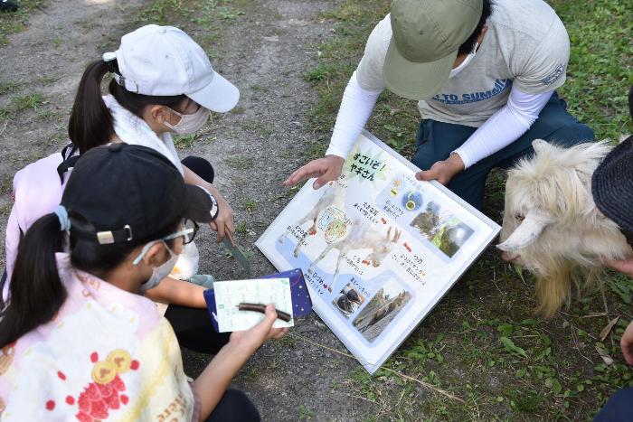 やぎのことについて学んで知るよ様子