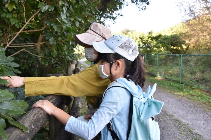 東浦自然環境学習の森の木について学んでいる様子