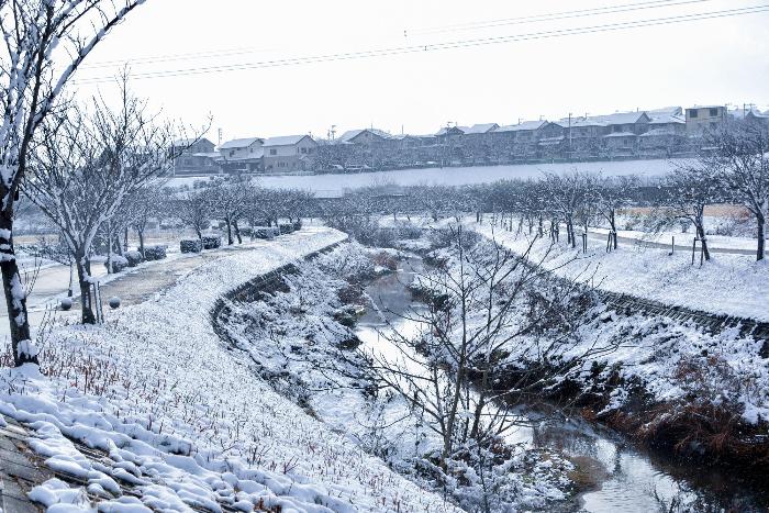 明徳寺川の雪景色