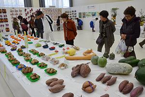 文化センターでは変わった形の野菜などさまざまな展示がありました。