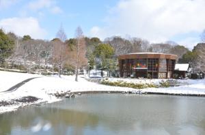 雪化粧をした於大公園