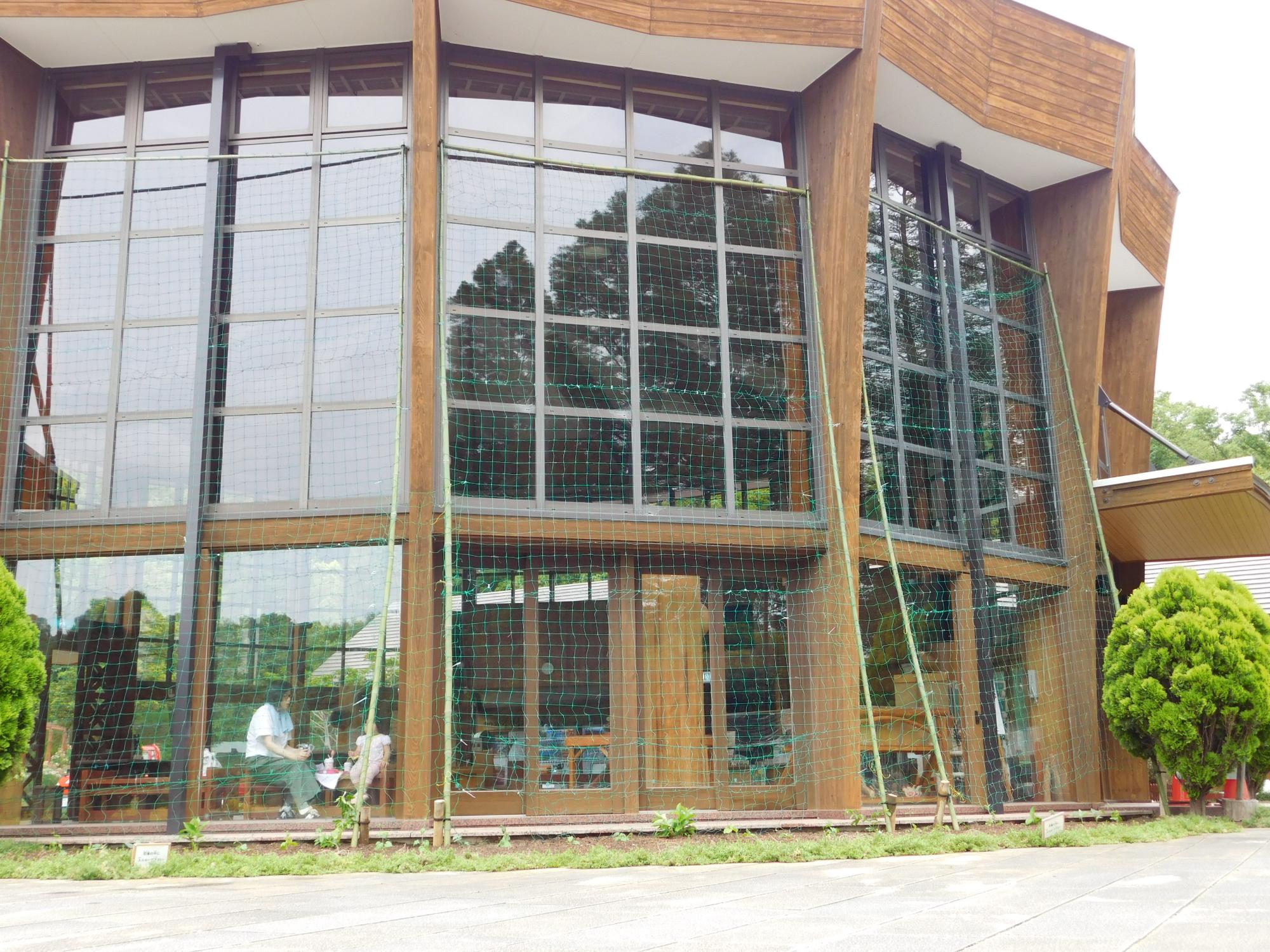 6/1このはな館建物の南側に、竹の枠とネットで「緑のカーテン」の準備をしました。