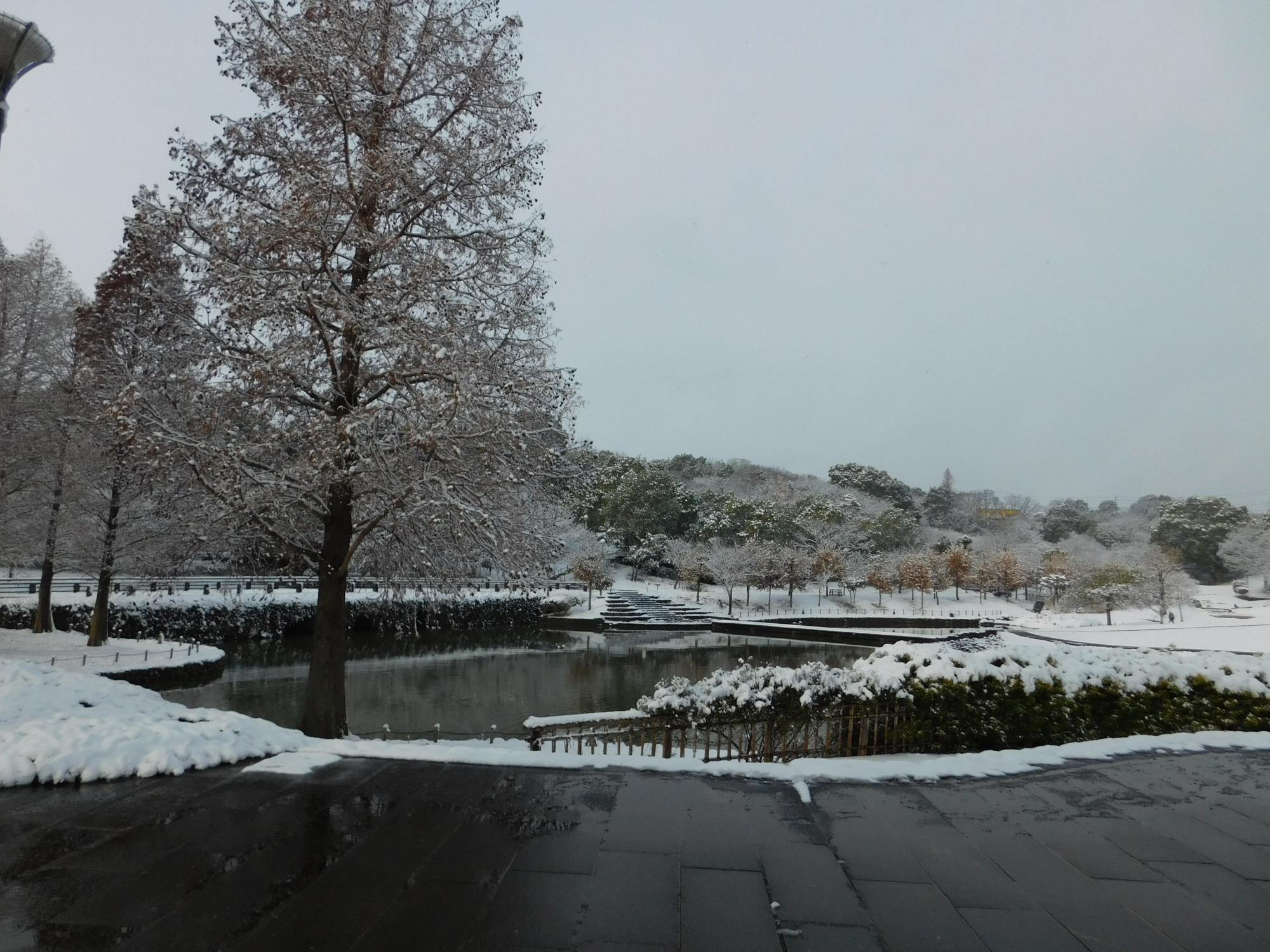 年末の12月27日に雪が降りました。そのときの公園の雪景色です。
