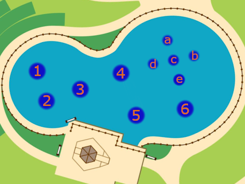 オニバス池配置図