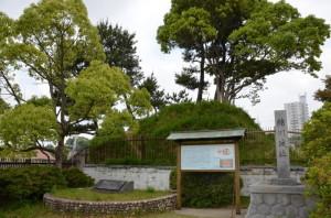 緒川城跡の写真