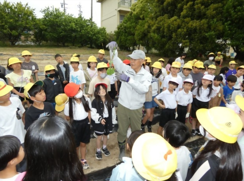 森岡小学校の3年生と5年生の児童が地域の方からいもの苗植え方法を聞く姿