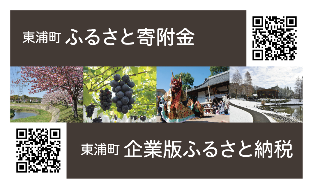 12 ふるさと寄附金、企業版ふるさと納税