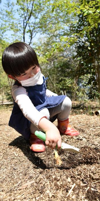 スコップで竹の子を掘る児童