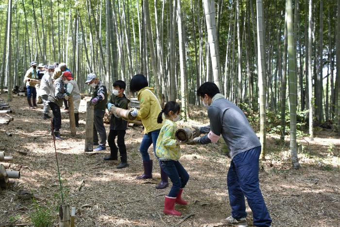 伐採竹を運ぶ参加者