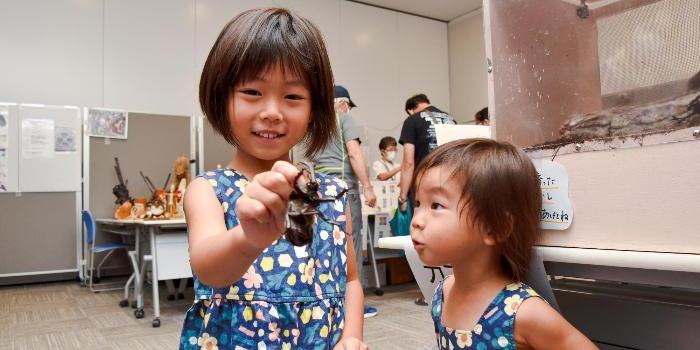 カブトムシをつかんだところを見せてくれる子ども