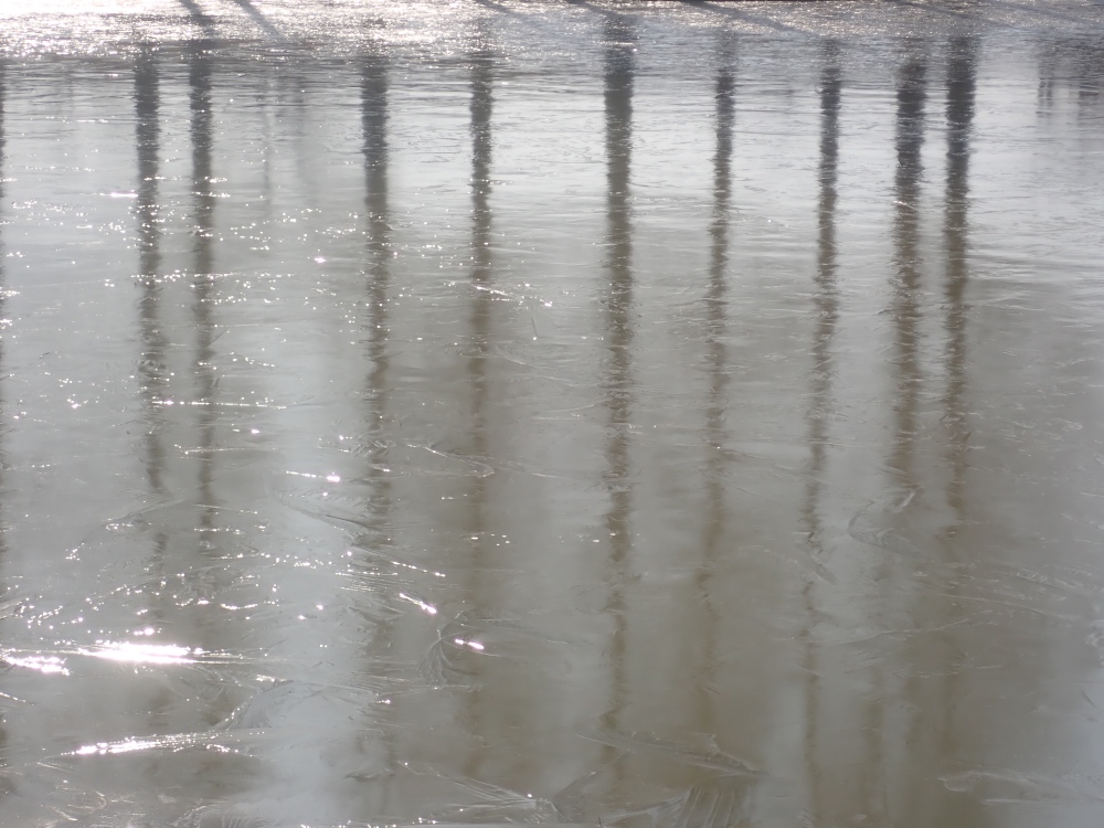凍った大池の写真