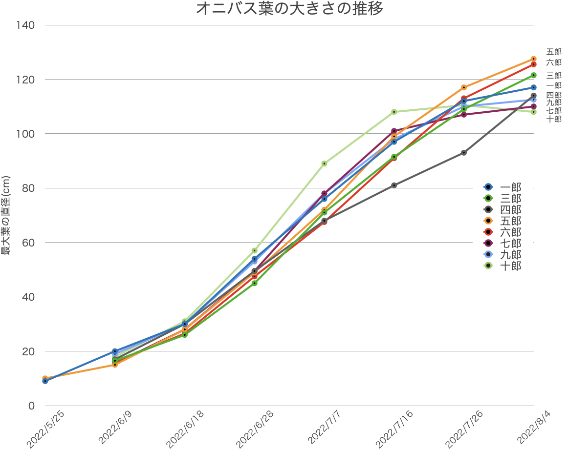 オニバス葉の大きさの推移のグラフ