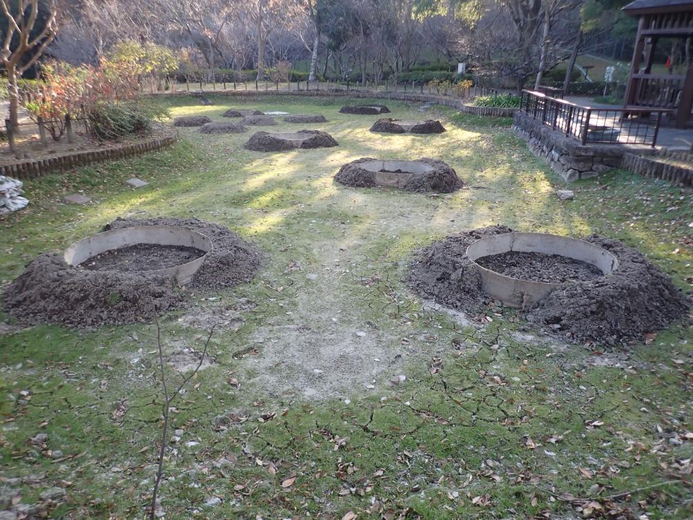 オニバス池の写真