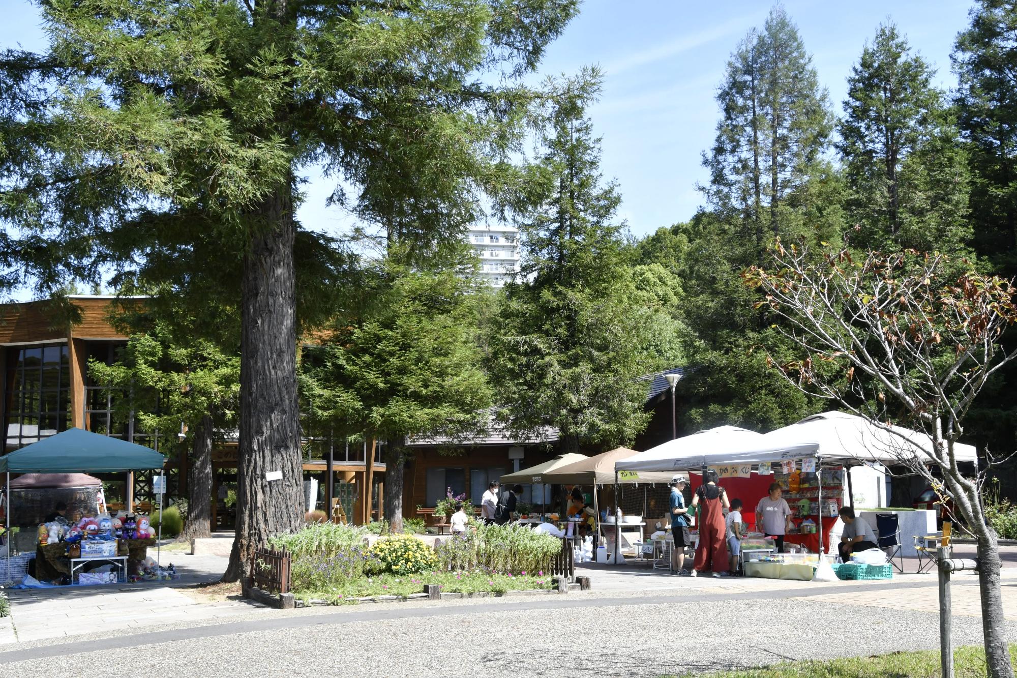 フェニックスフェスの様子