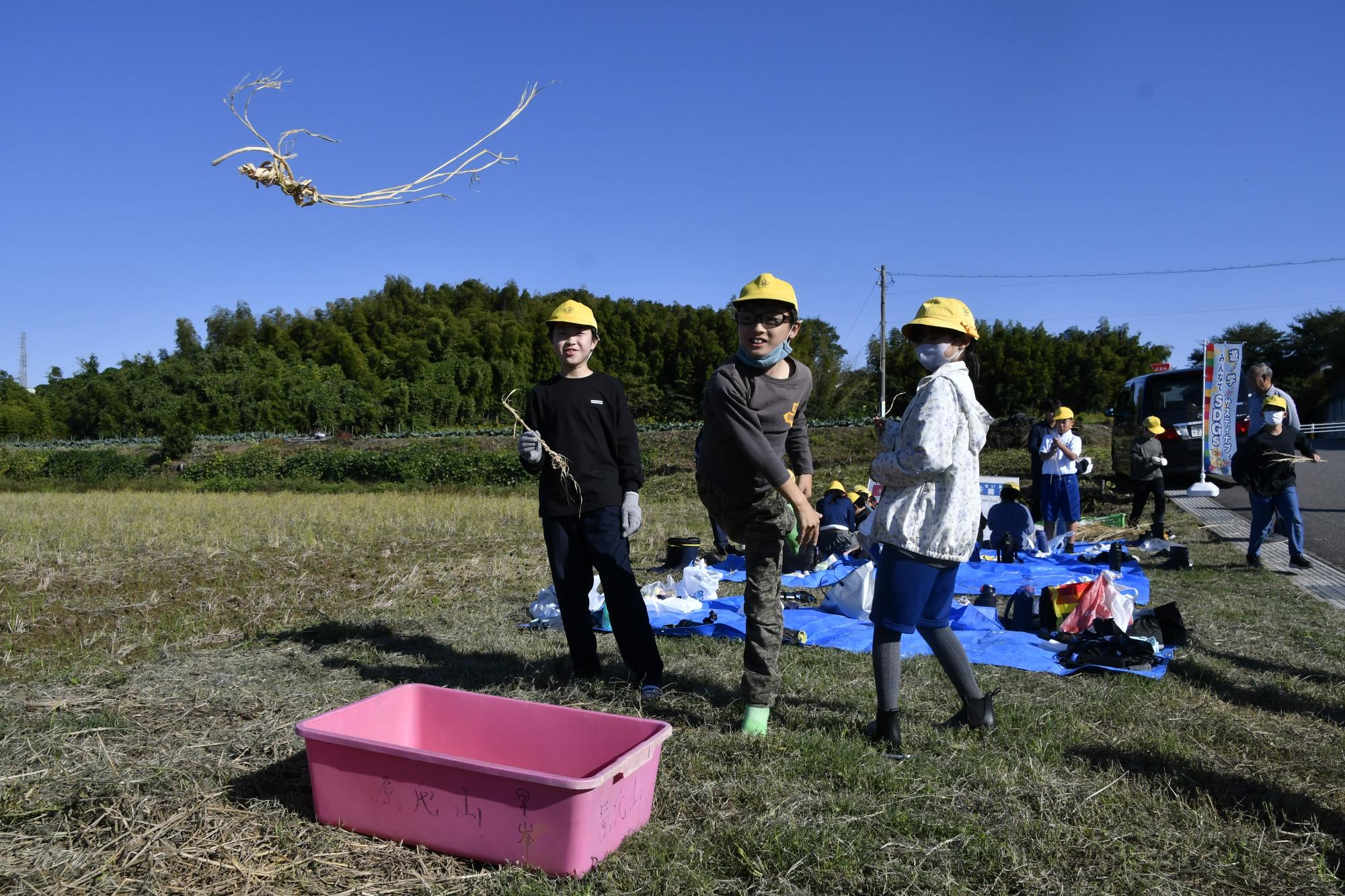 編んだ稲を飛ばす児童