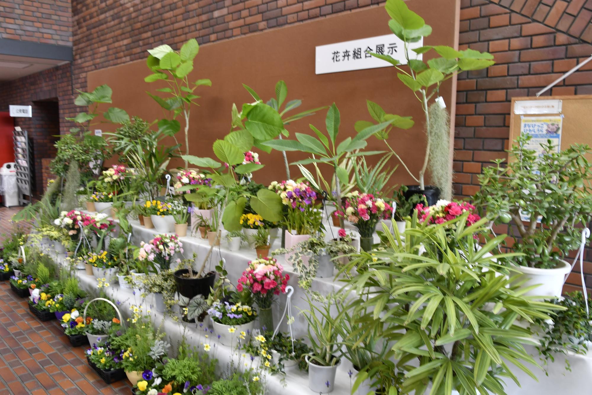 産業まつりの写真