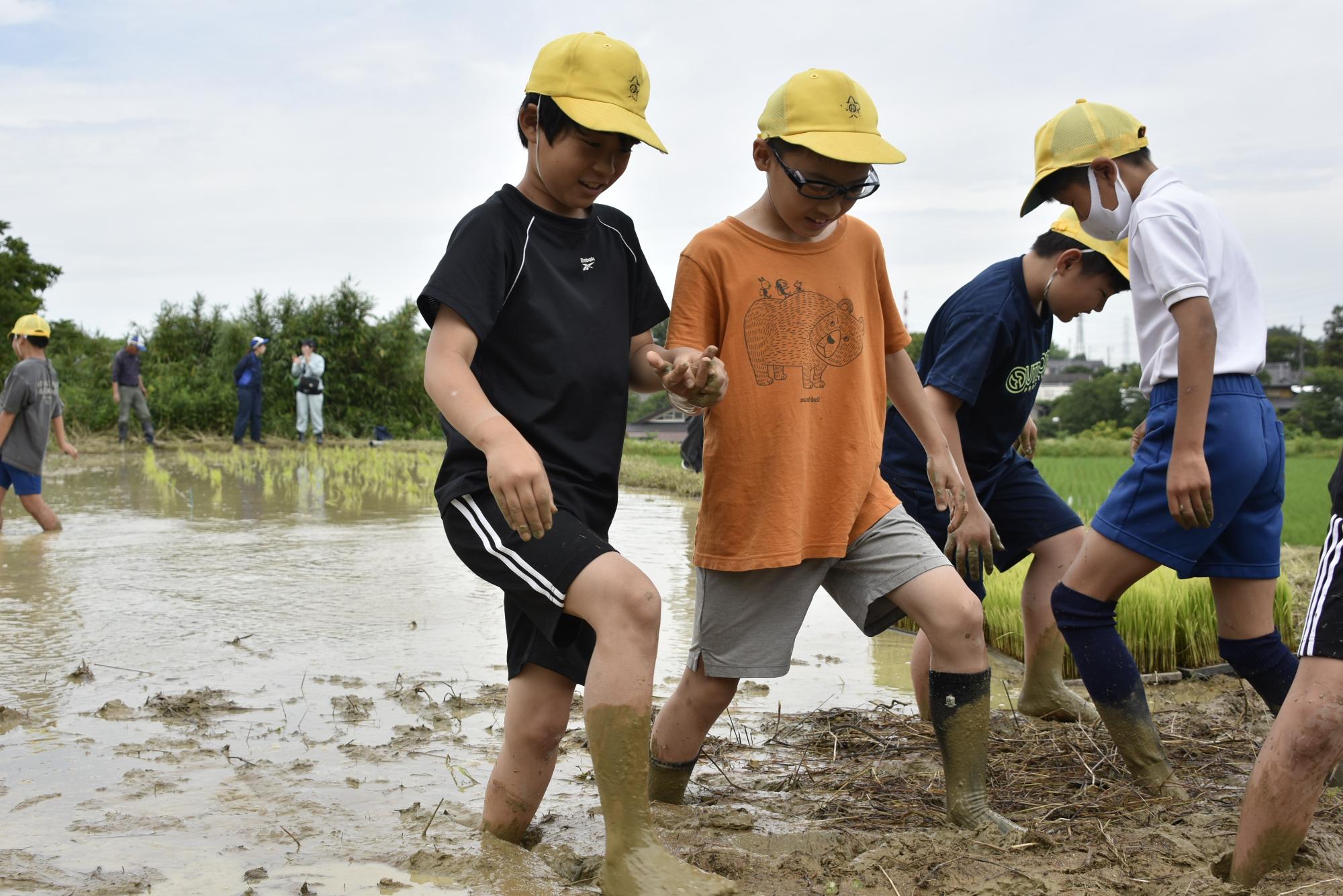 田植えをする子どもたち