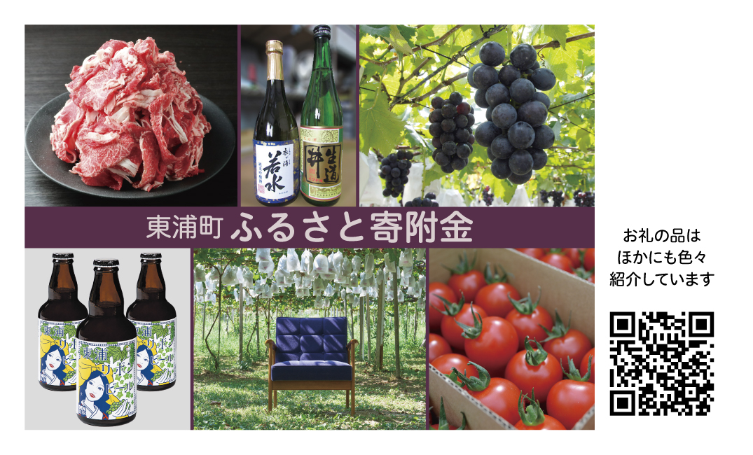 08ふるさと寄附金