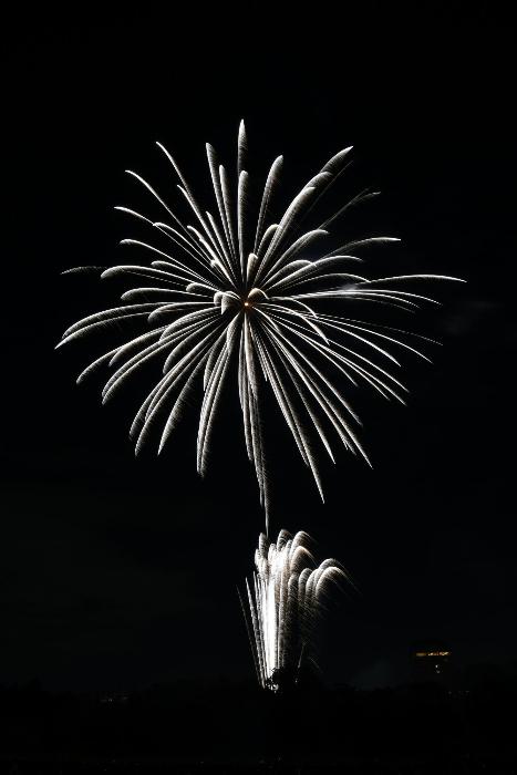 白色際立つ大きな花火