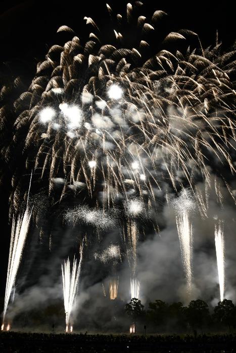 群発される迫力ある花火