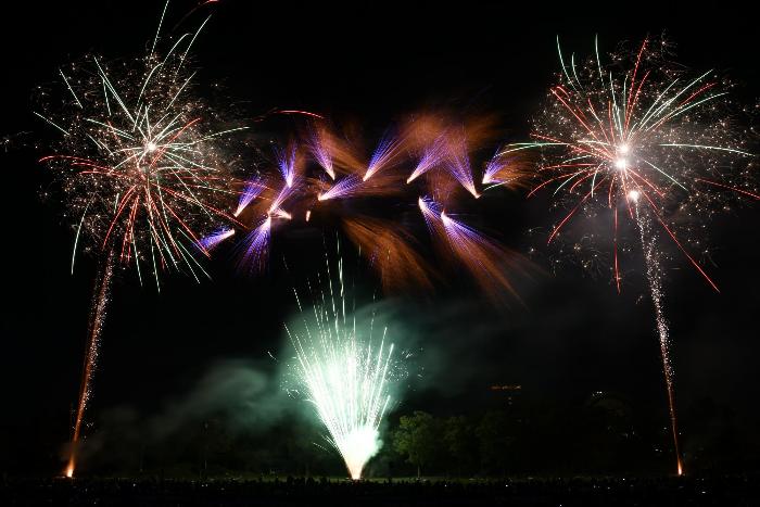 同時に打ちあがる様々な種類の打ち上げ花火