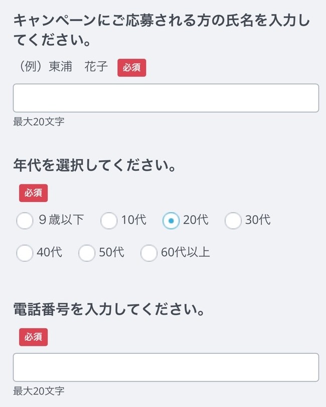 入力画面イメージ