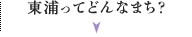 東浦ってどんなまち？