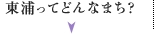 東浦ってどんなまち？
